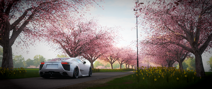 White Lexus LFA driving through cherry blossoms
