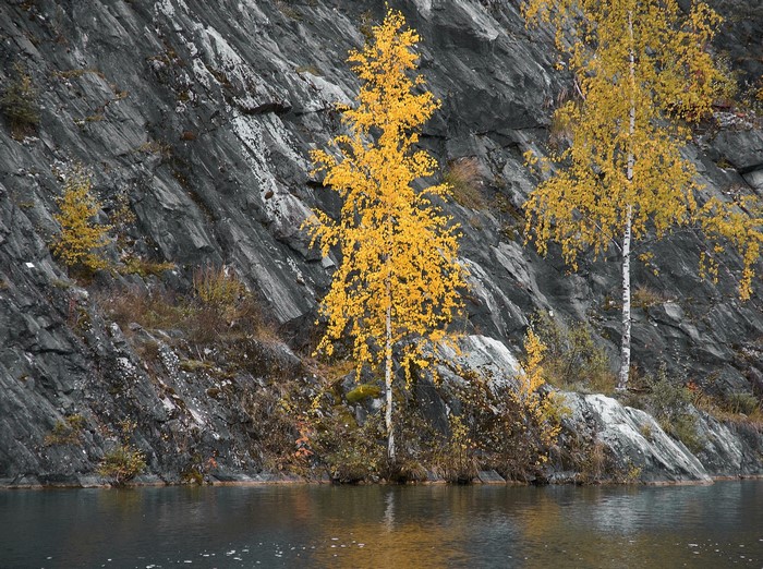 Yellow trees on a rocky cliff by the water
