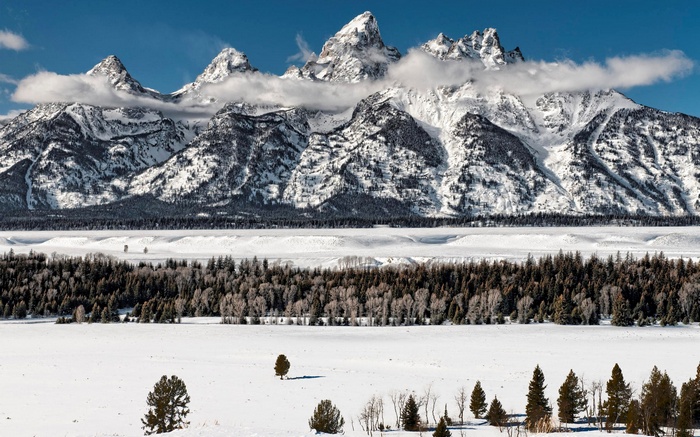 Snow-covered Teton Range mountains under a blue sky