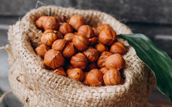 Hazelnuts in a burlap sack