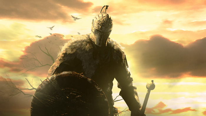 Knight with shield and sword from Dark Souls II