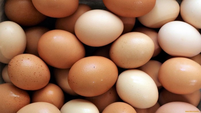 Close-up of brown and white eggs