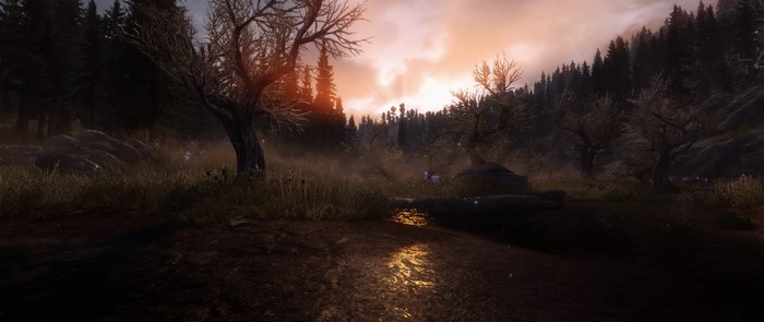 The Elder Scrolls V: Skyrim screenshot