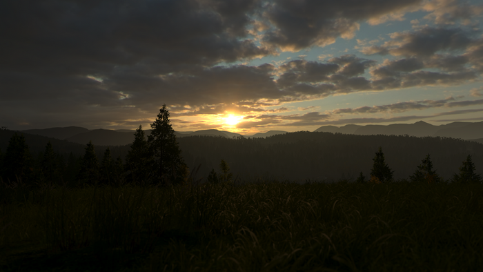4K Sunrise over Forested Mountains