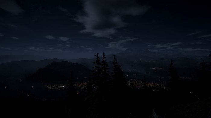 Ghost Recon Wildlands 4K night city lights forest