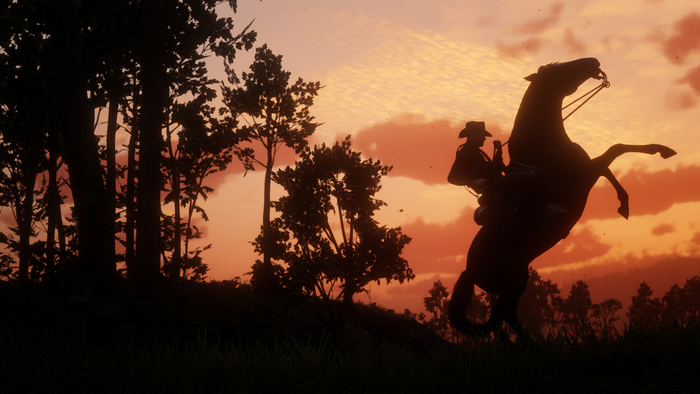 Red Dead Redemption 2: Cowboy on horseback at sunset