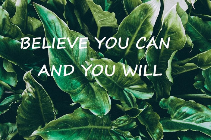 Believe You Can and You Will Quote