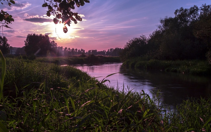 River flowing through a grassy landscape at sunset