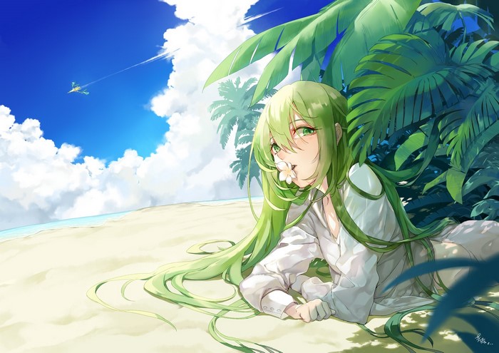 Enkidu from Fate/Grand Order on a beach