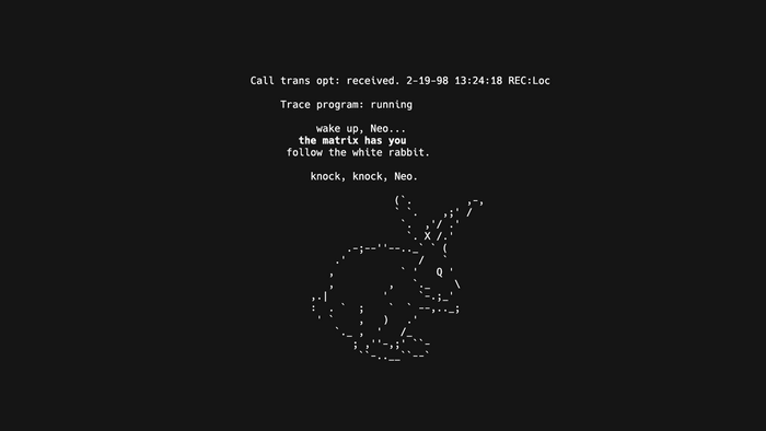 The Matrix ASCII Art White Rabbit