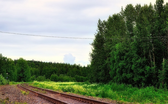 Train tracks curve through a forest under a cloudy sky