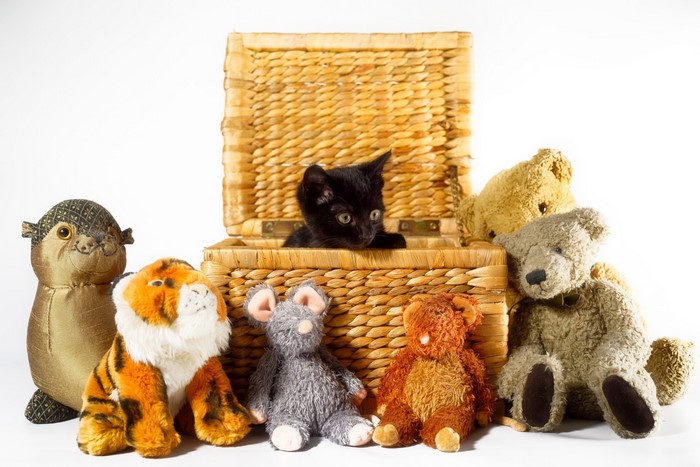 Black kitten in a basket with stuffed animals