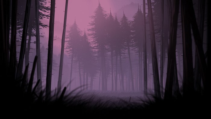 Misty forest at dusk with tall trees