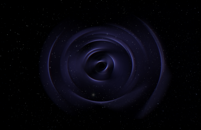 Black hole with swirling accretion disk and stars
