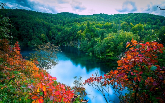 Autumn leaves frame a tranquil lake surrounded by forested hills