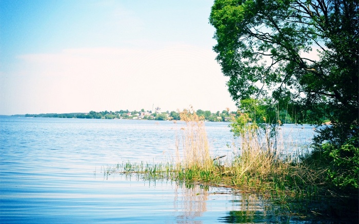 Lake with trees and distant town