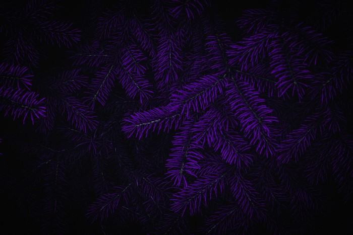 910502 dark, Photoshop, purple background - Rare Gallery HD Wallpapers