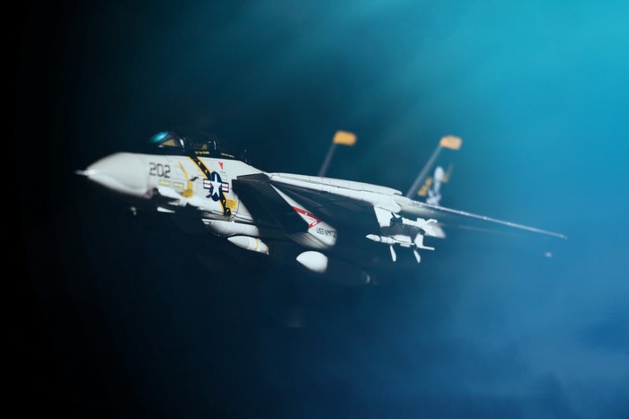 Grumman F-14 Tomcat fighter jet