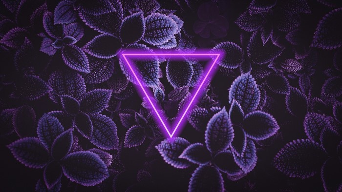 Purple neon triangle over dark purple leaves