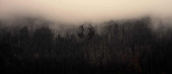 4K Vikings Assassins Creed logo over foggy forest
