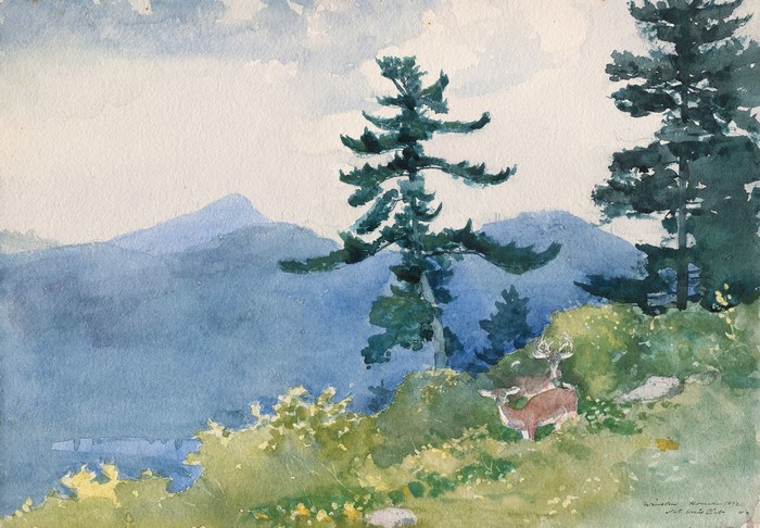 Deer in a landscape by Winslow Homer