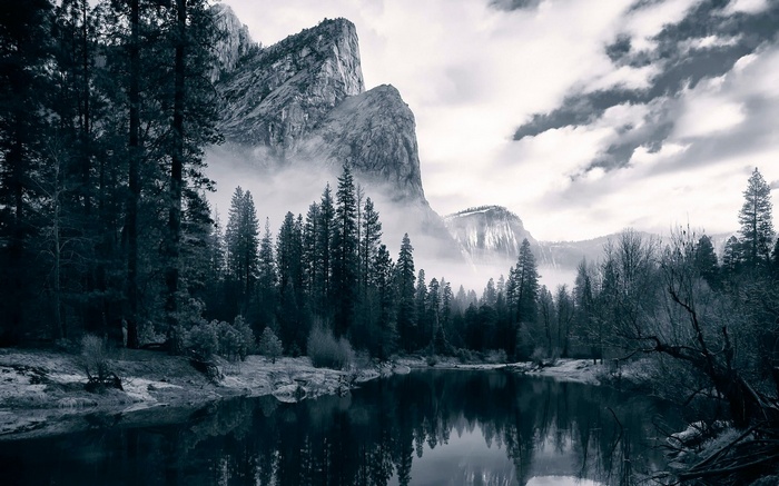 Misty Mountains and Forest Reflected in a Lake