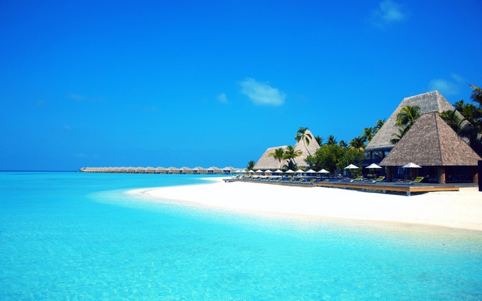 Tropical resort with overwater bungalows and thatched-roof buildings