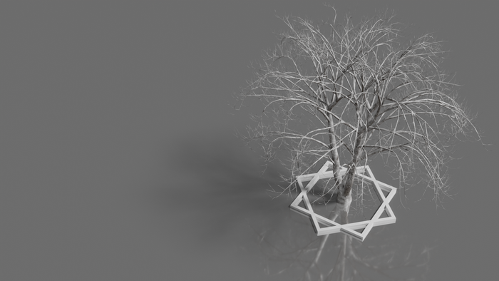Bare tree with a Star of David frame