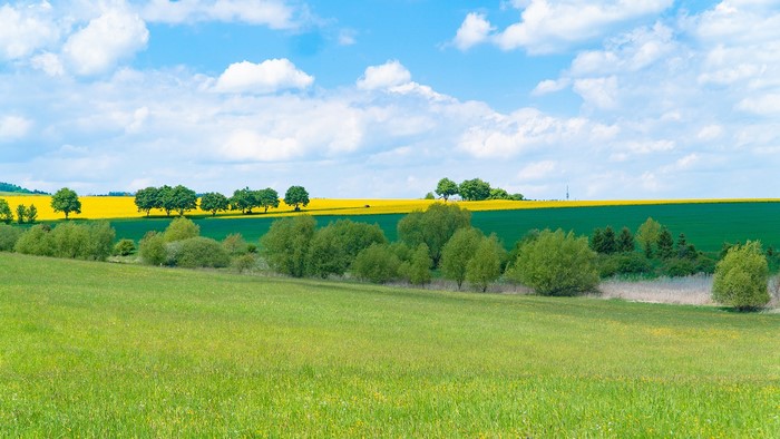 Green fields and yellow rapeseed field under a blue sky
