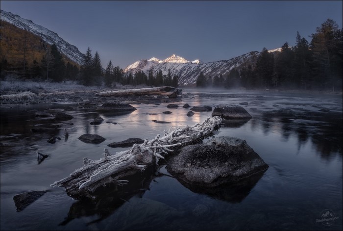 Frosty log in a river with snowy mountains