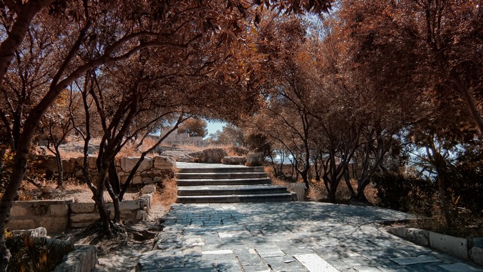 Stone stairs and trees in an outdoor setting
