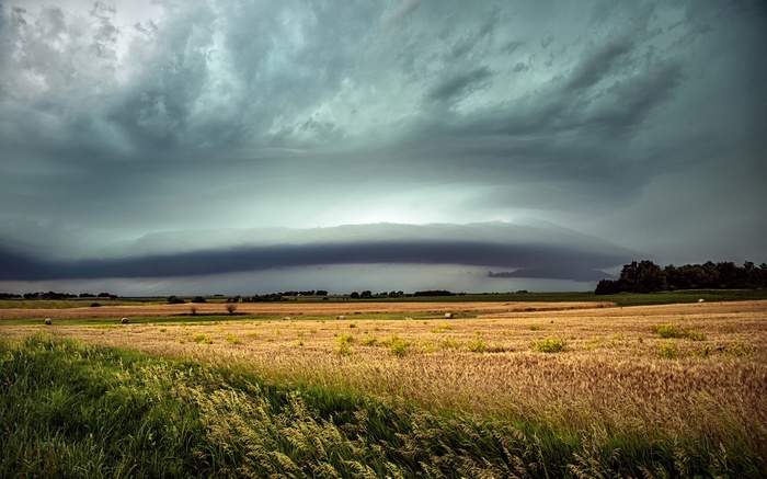 Storm clouds over a wheat field with hay bales