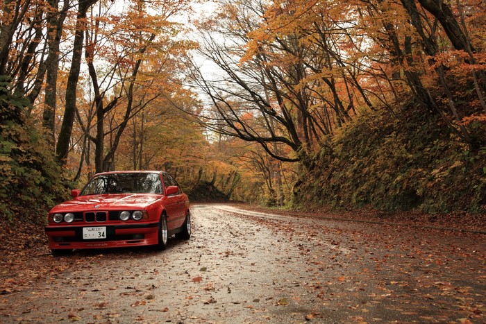 Red BMW car on a road in autumn forest