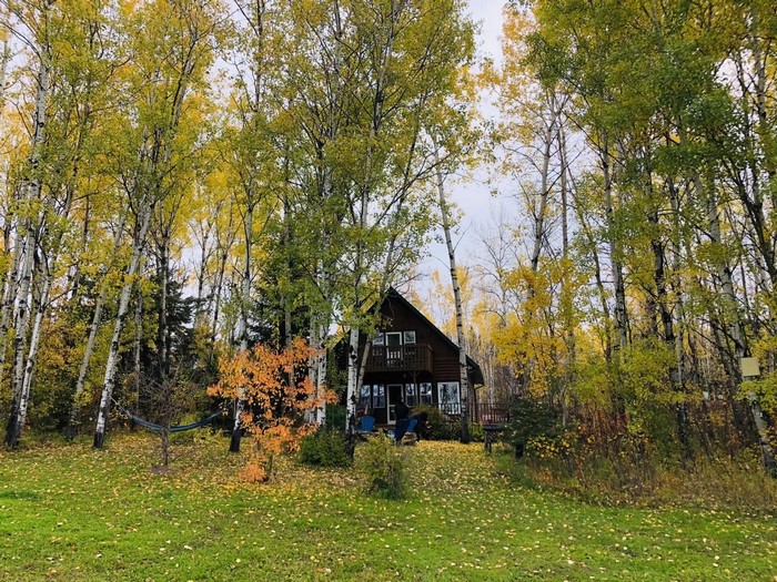 A-frame house surrounded by birch trees in autumn
