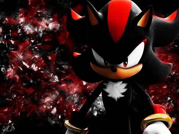 Shadow the Hedgehog from Sonic the Hedgehog