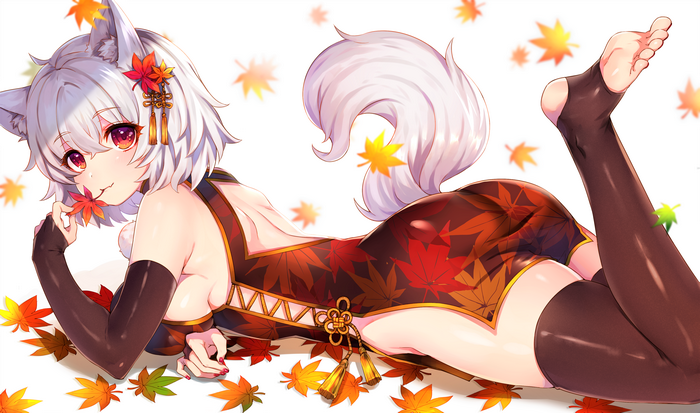 4K Inubashiri Momiji in Autumn Leaves