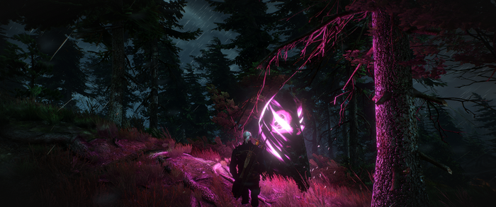 Geralt of Rivia at a Place of Power in The Witcher 3