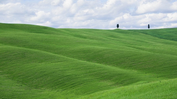 Rolling green hills with cypress trees under a cloudy sky