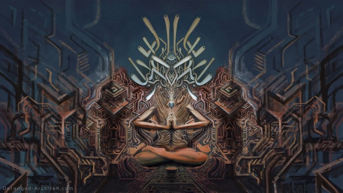 Psychedelic Entity in Meditation