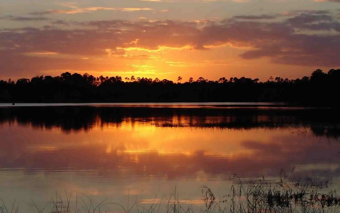 Sunset over a lake with silhouetted trees
