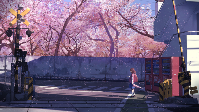 Anime girl at cherry blossom train crossing