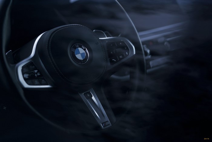 BMW steering wheel interior