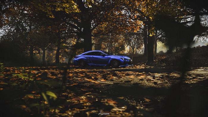 Blue Lexus RC F in a forest during autumn