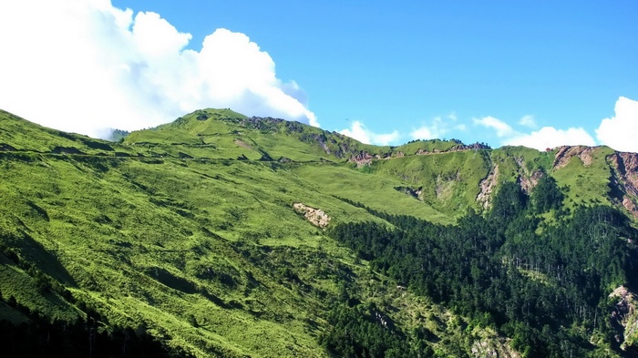 Green mountains with trees and blue sky