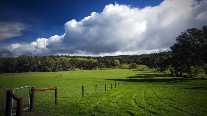 Green rolling hills with trees and a cloudy sky