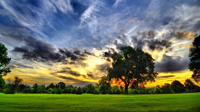 Dramatic sunset over a green field with trees