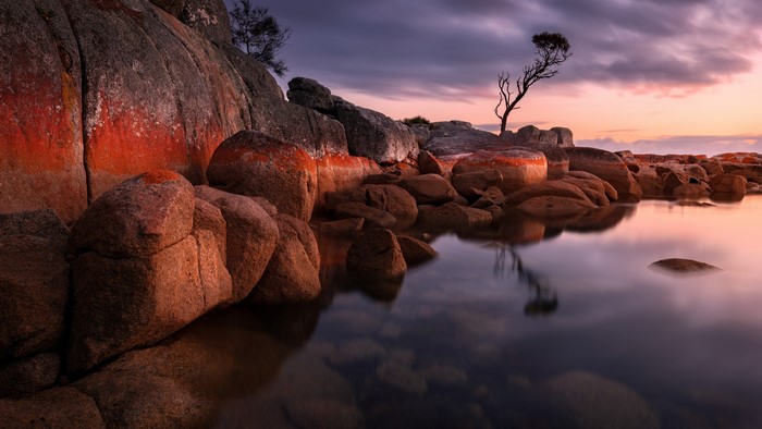 Coastal rocks with orange lichen and calm water at sunset