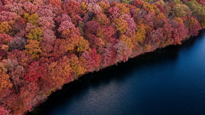 Colorful forest trees along a dark blue lake in fall