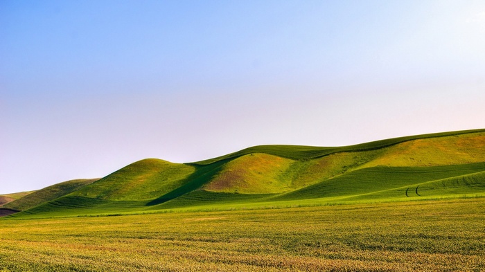 Rolling green hills under a clear blue sky