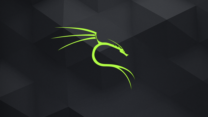 Kali Linux dragon logo on dark geometric background